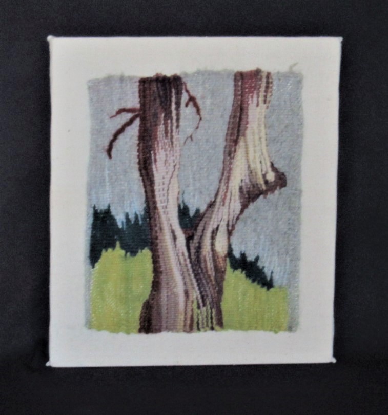 tabitha gilmore barnes tapestry of plants
