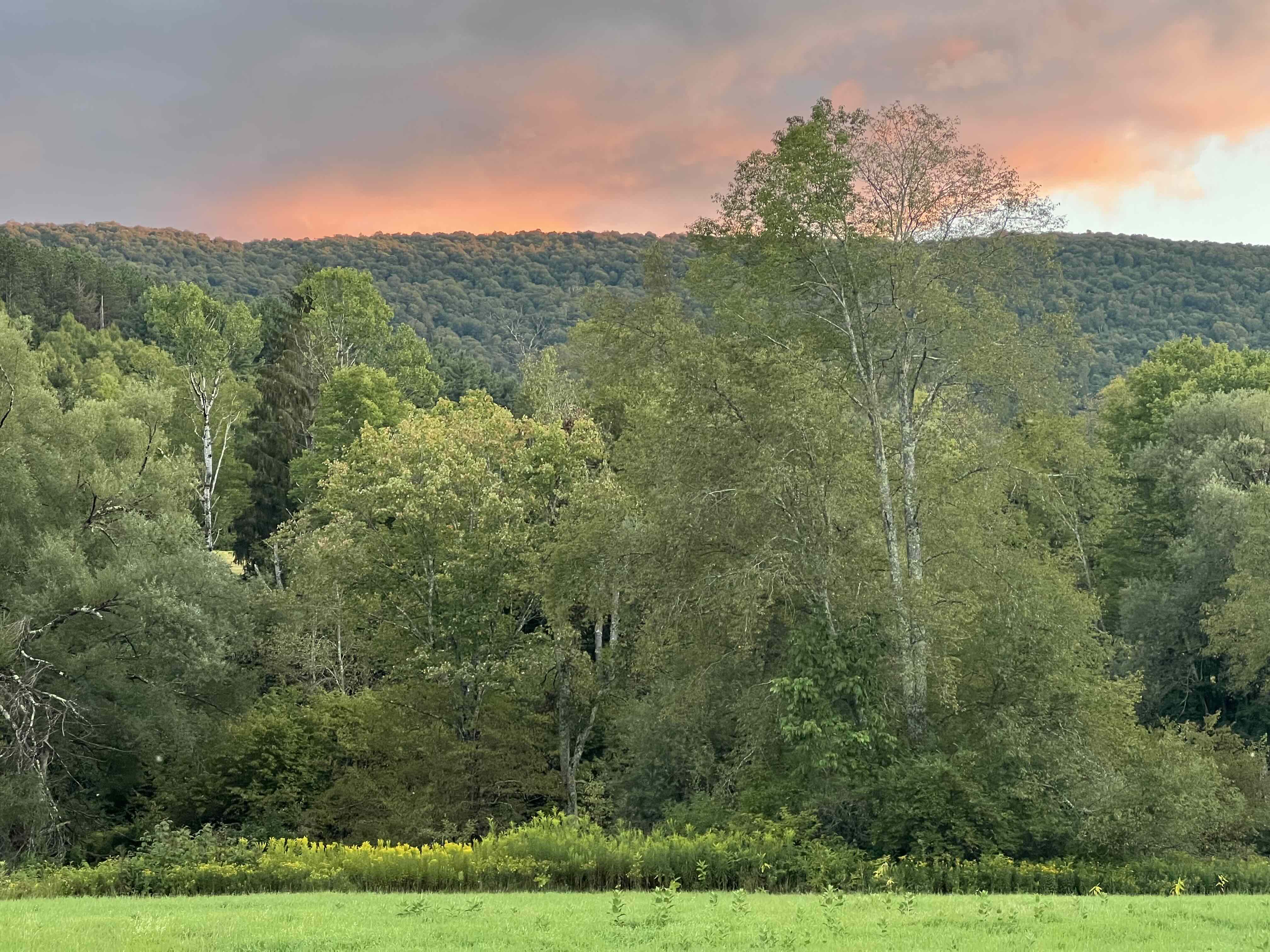 Catskill Mountains Image