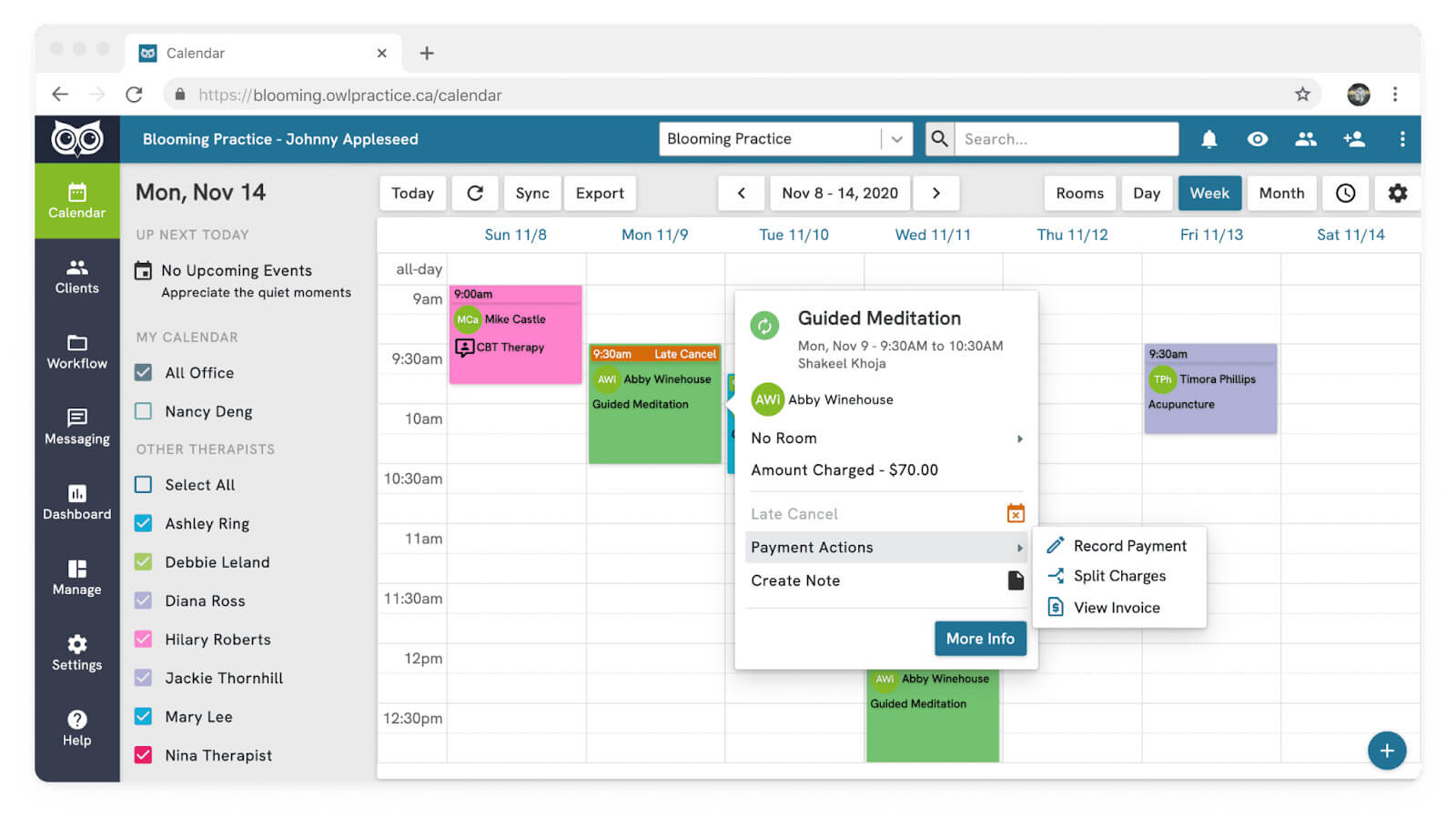Best Chiropractic Flexible SOAP Notes Software Owl Practice