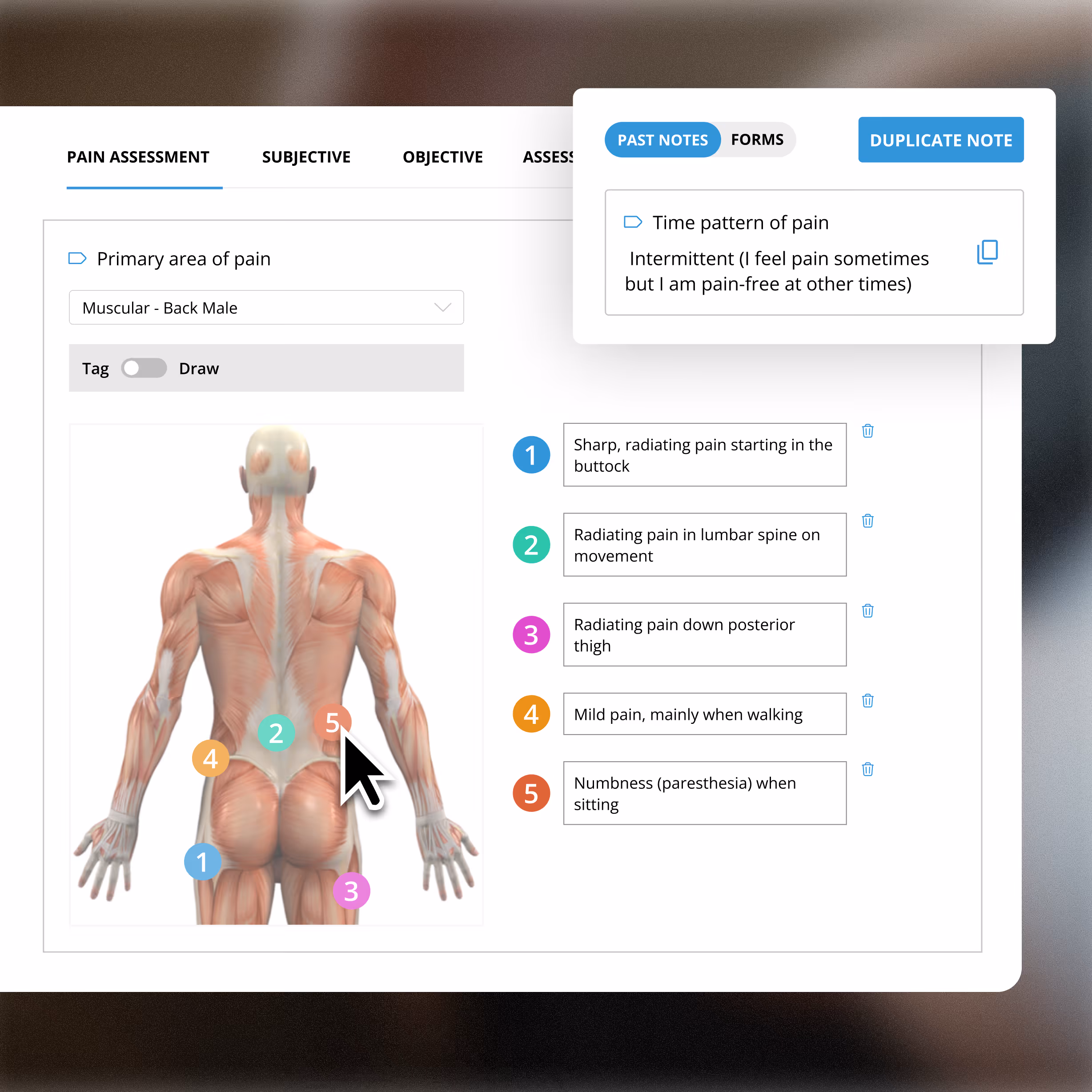 A Visual of practice management software