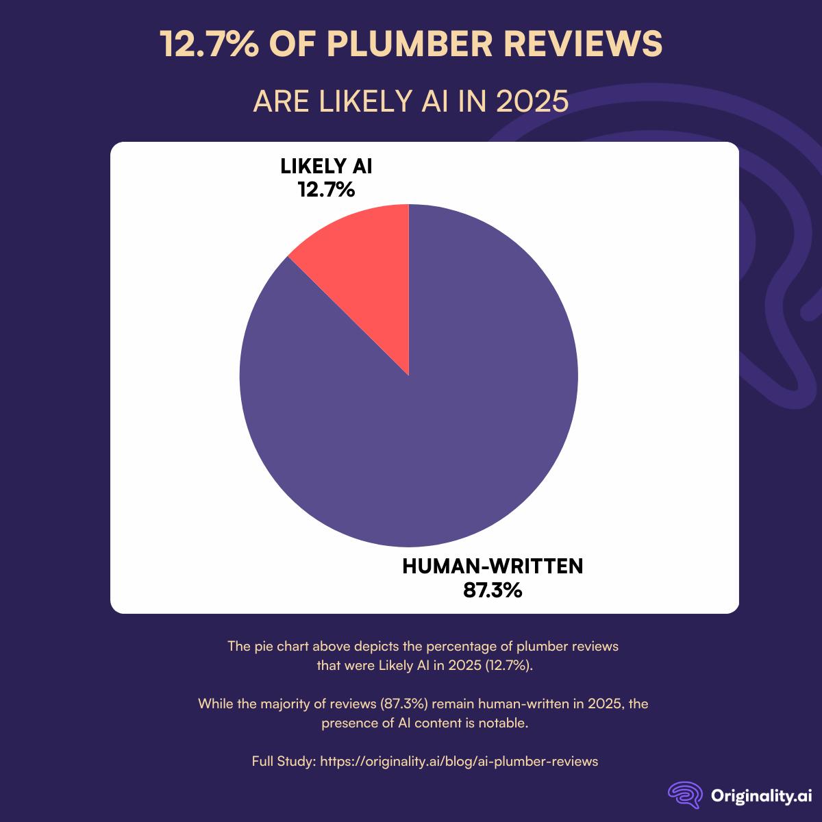 Likely AI Plumber Reviews in 2025