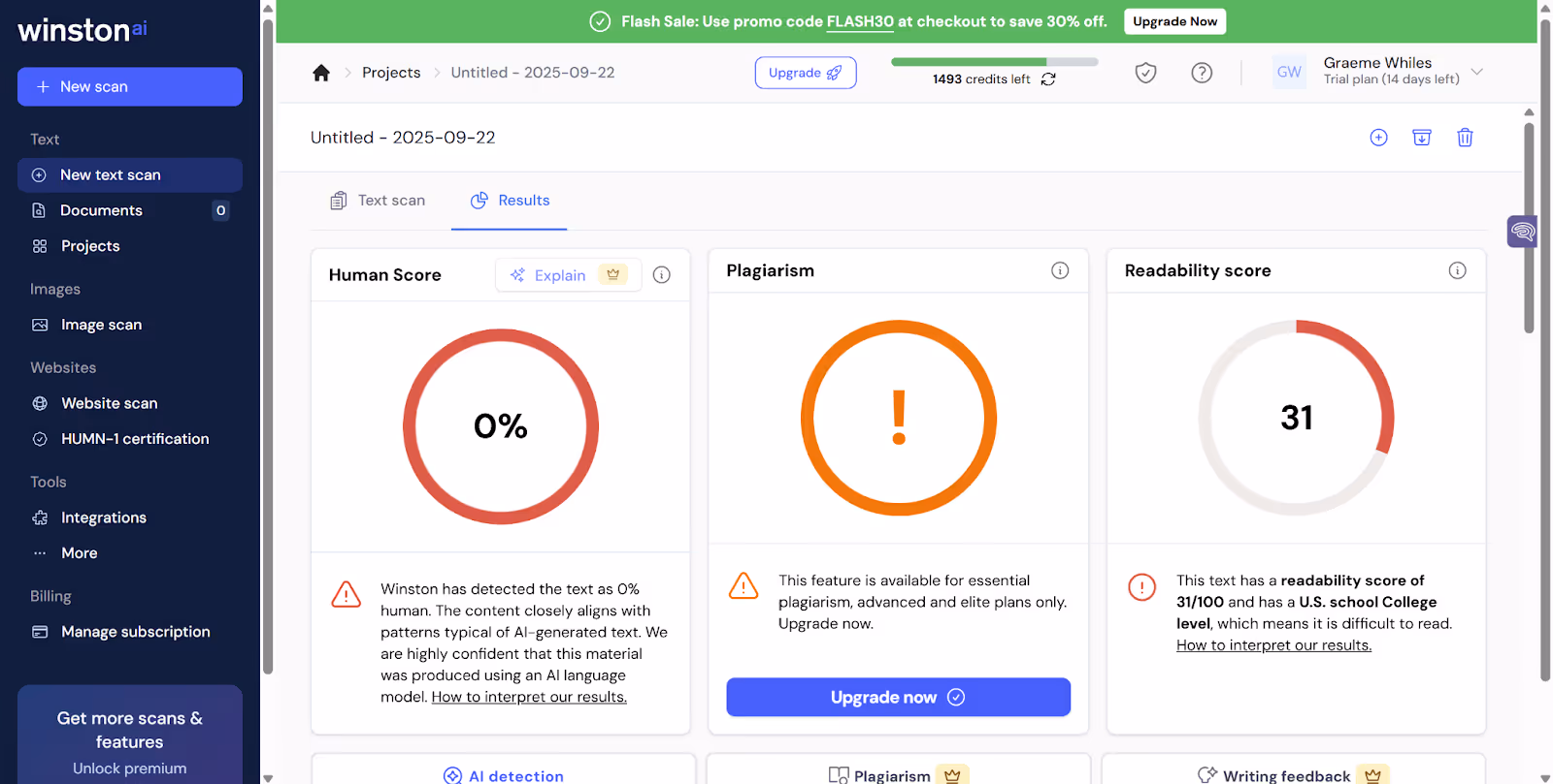 Winston AI detection scan