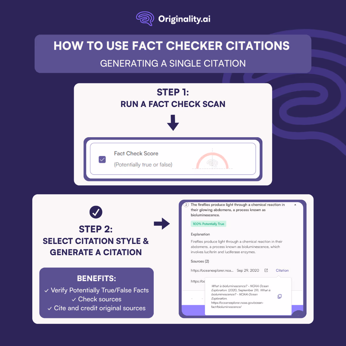 single citation using Originality.ai's Fact Checker citations feature.