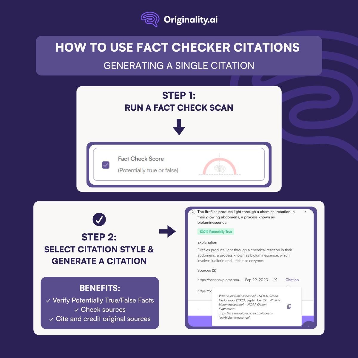 single citation using Originality.ai's Fact Checker citations feature.