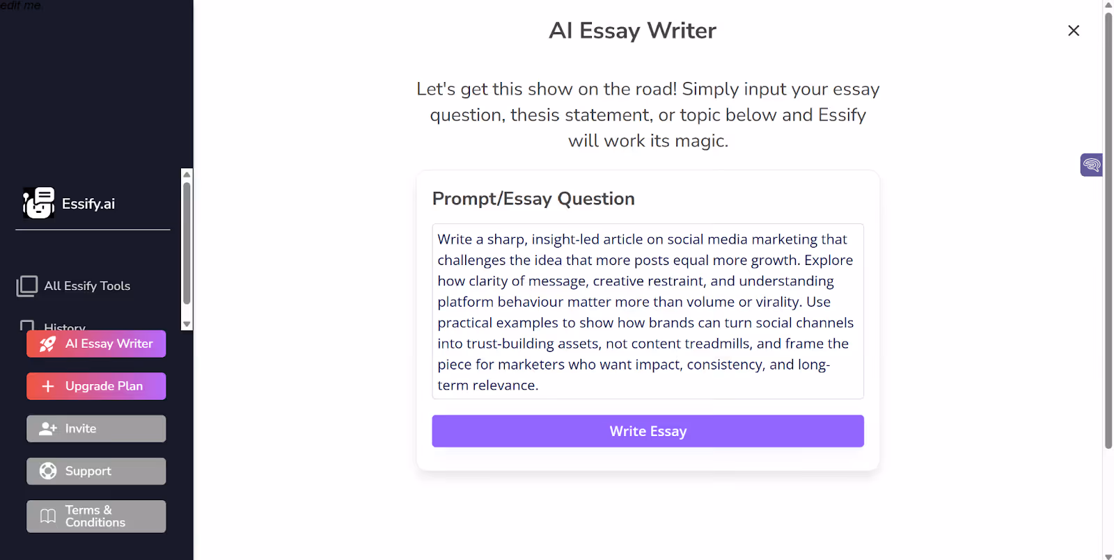 prompt input into the Essify AI Essay Writer