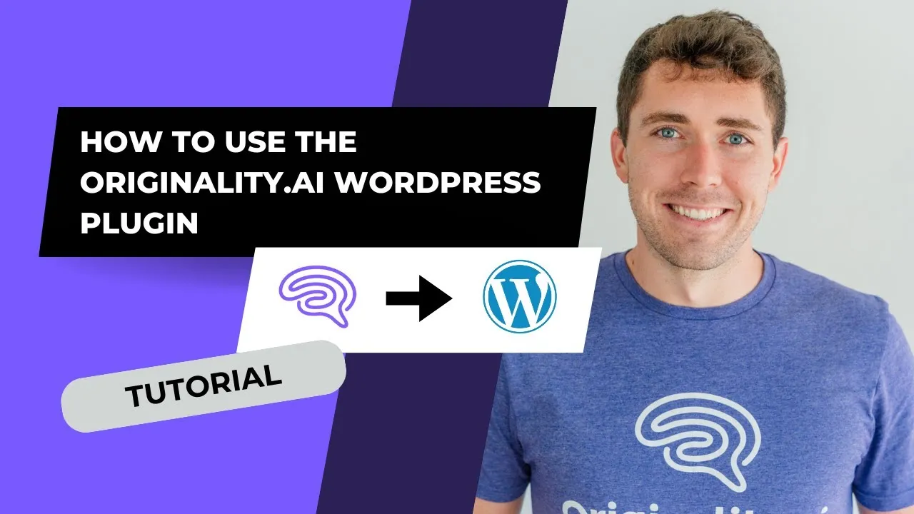 wordpress plugin
