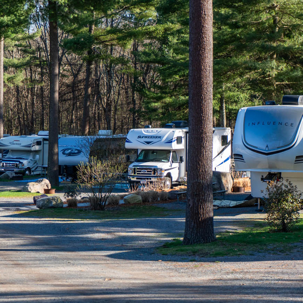 A campground with chairs around a fire near a lake