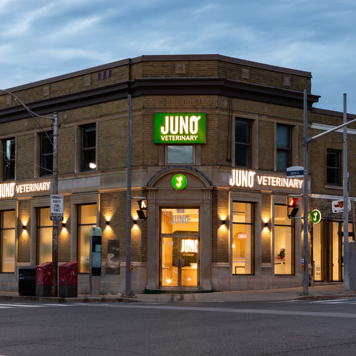 Modern veterinary clinic building at dusk with bright green "JUNO VETERINARY" signage, featuring a historic brick facade with large windows, warm interior lighting, and located on a street corner with traffic lights visible.
