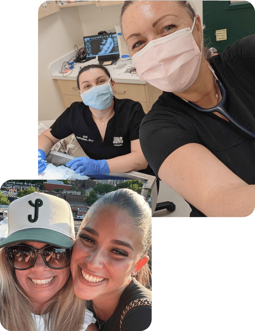 Two veterinary staff wearing masks in a clinic, smiling at the camera. Below, two women outdoors smiling together.