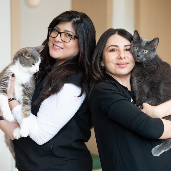 Two ACAs, stand back to back, smiling and each holding a very cute cat. 