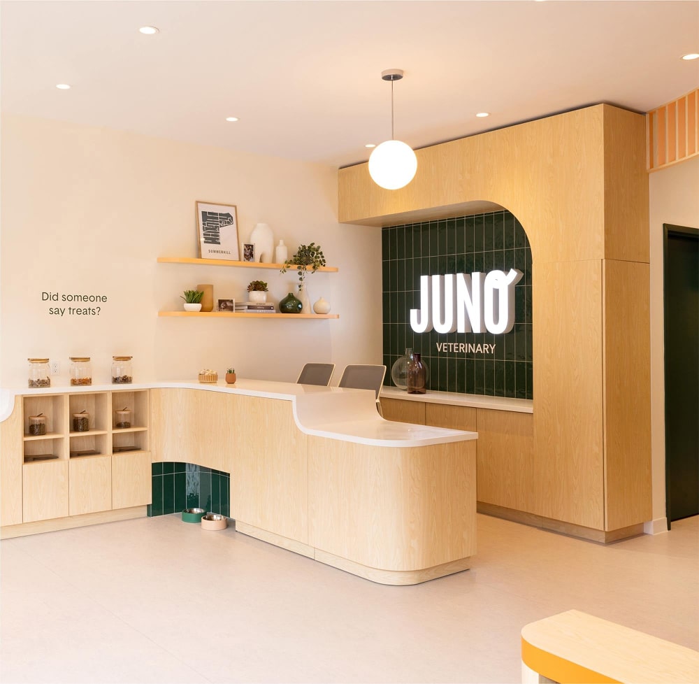 Juno Veterinary Summerhill clinic reception with complimentary treat station and front desk