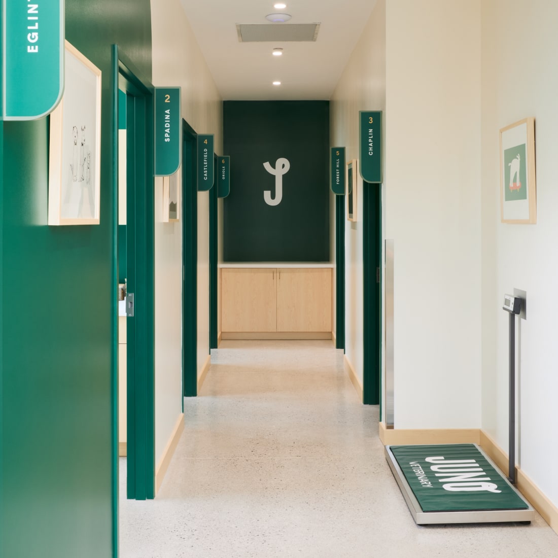 Bright hallway at Juno Veterinary with green doors labeled for exam rooms and a large “J” logo on the back wall.