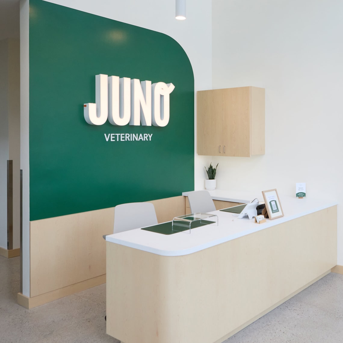 Juno Veterinary reception area with a modern desk, light wood finishes, and a green accent wall featuring the illuminated Juno logo.