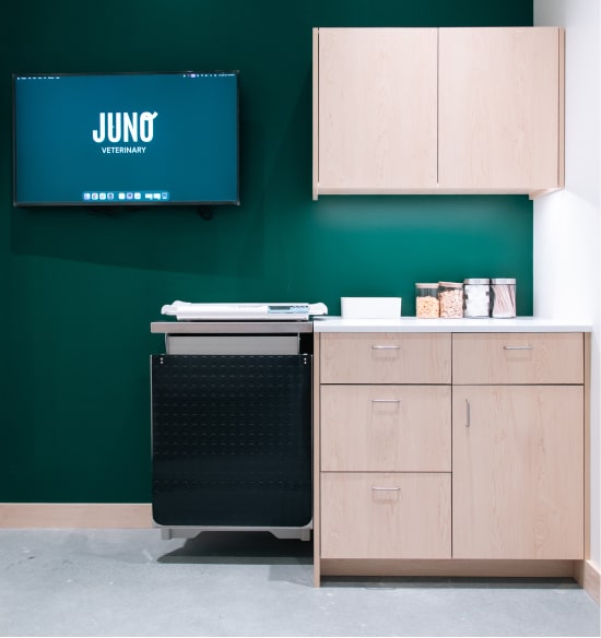 Front reception of Juno Vet Summerhill