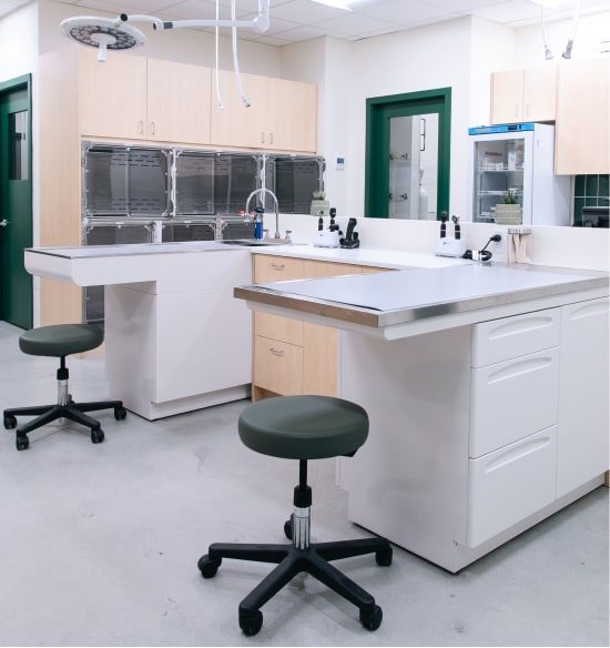 Exam room where vets examine dogs and cats of Juno Vet Summerhill in Toronto