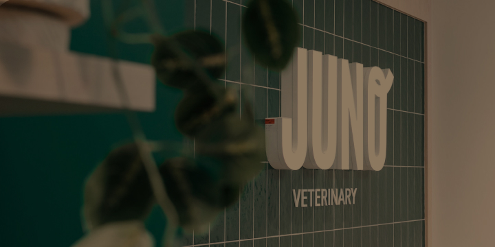 The Juno Veterinary logo on a dark green tiled wall with blurred plant leaves in the foreground at the Kistilano clinic.