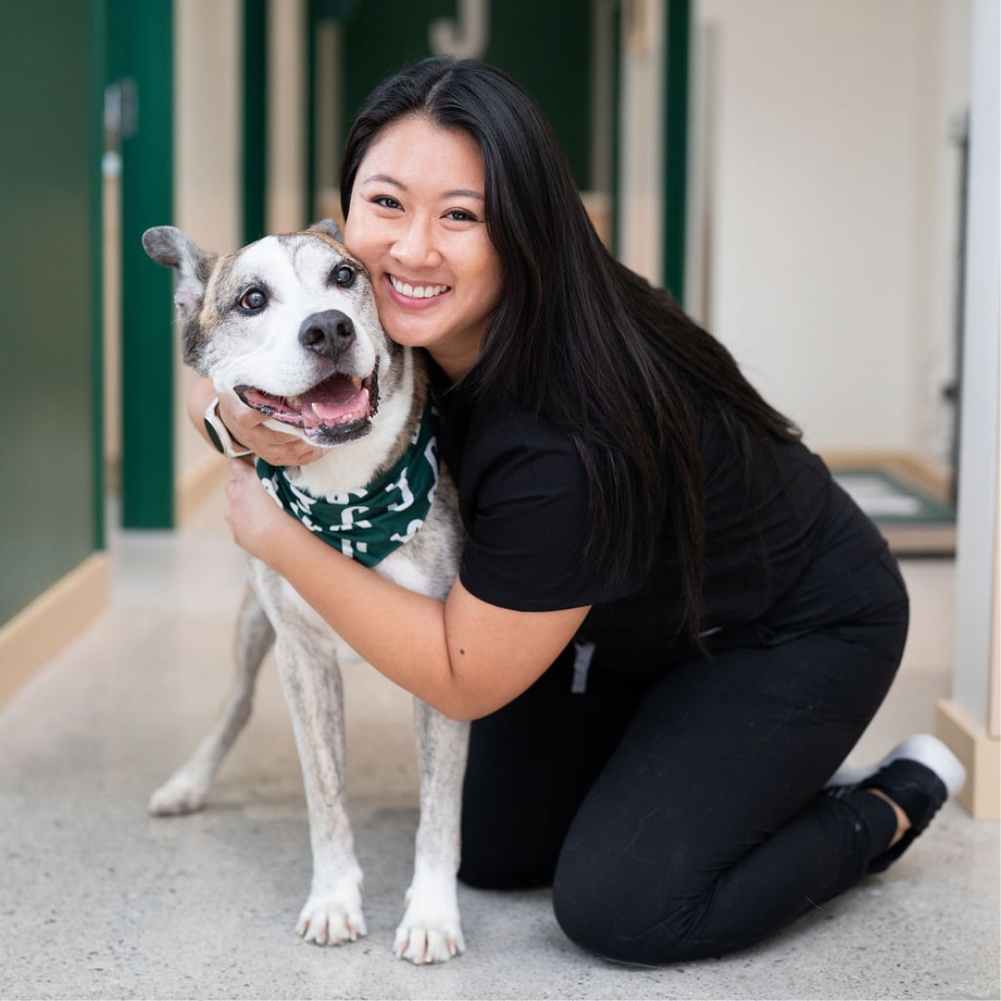 A smiling Vet in black scrubs kneeling on the floor to hug a happy grey and white dog wearing a green bandana.