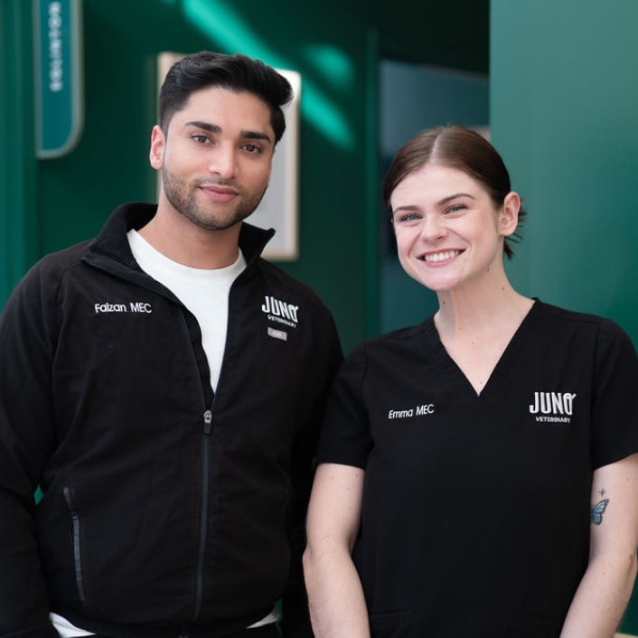 Portrait of two smiling MECs, standing side-by-side in black Juno Veterinary uniforms against a green background.