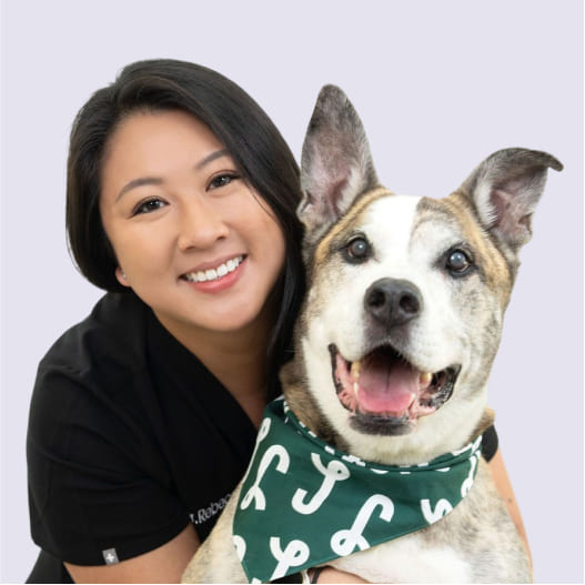 Dr. Rebecca smiling and hugging a happy brown and white mixed-breed dog wearing a green bandana against a light purple background