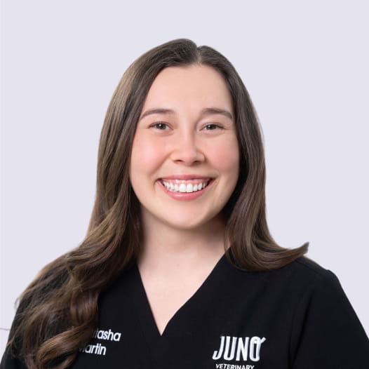 Dr. Natasha, veterinarian at Juno Veterinary, smiling in black scrubs.