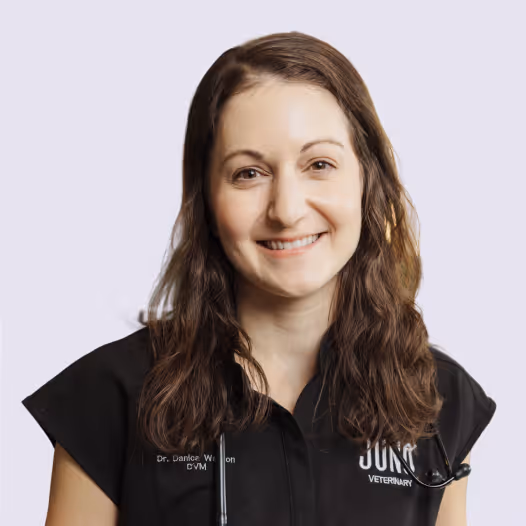 Dr. Danica smiles with long brown hair wearing a black veterinary uniform and stethoscope.