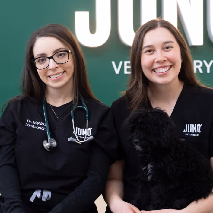 Two Vets from in black JUNO Veterinary scrubs smiling, one holding a black dog, the other wearing glasses and a stethoscope.