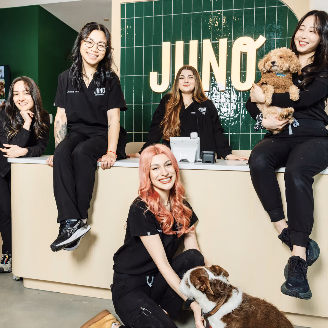 Yaletown team members smiling and posing in black scrubs in front of a green tiled wall with the word 'JUNO,' two holding dogs.