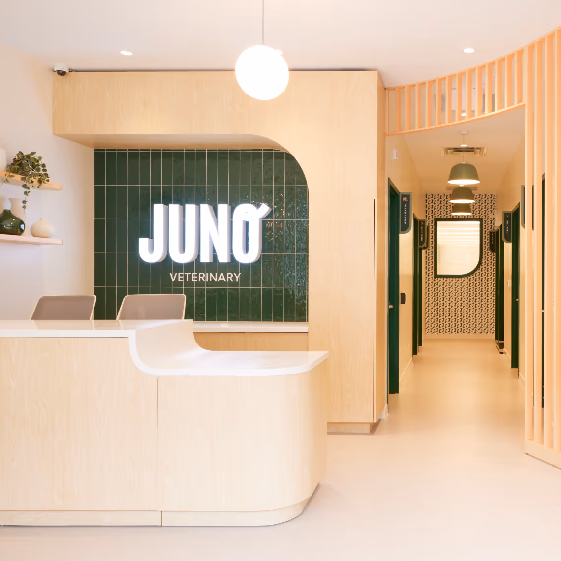 Summerhill veterinary clinic lobby with light wood reception desk and green tiled wall with Juno Veterinary logo.