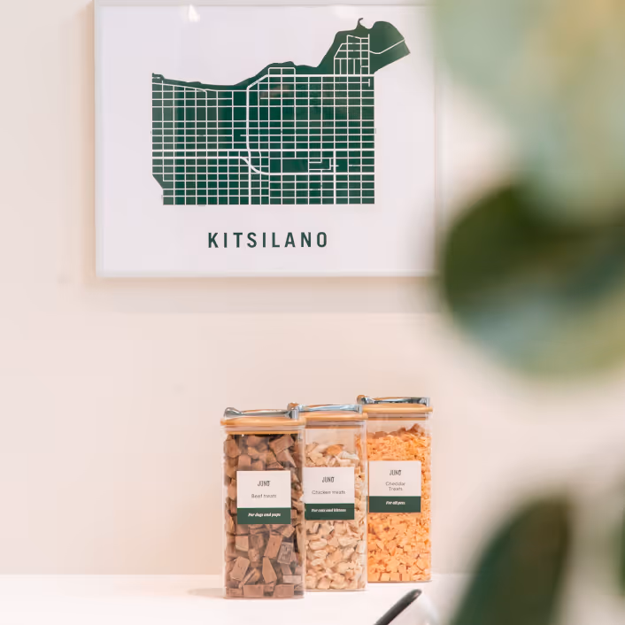 Jars of Juno Veterinary beef, chicken, and cheddar pet treats below a Kitsilano neighbourhood map print