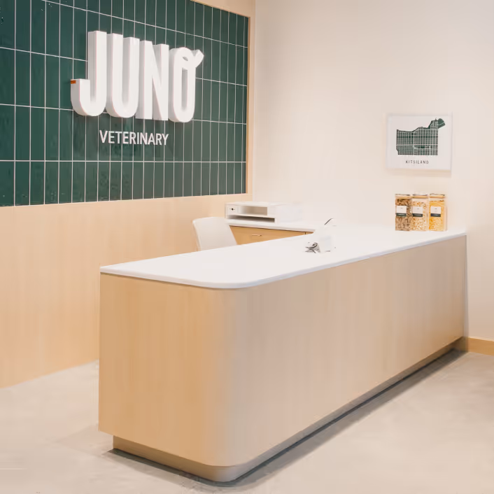 Juno Veterinary front desk with the logo on a green tiled wall and a Kitsilano map print