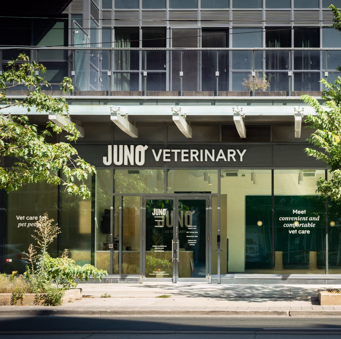 Tree-lined Liberty Village clinic entrance with glass facade and JUNO VETERINARY sign above the door.