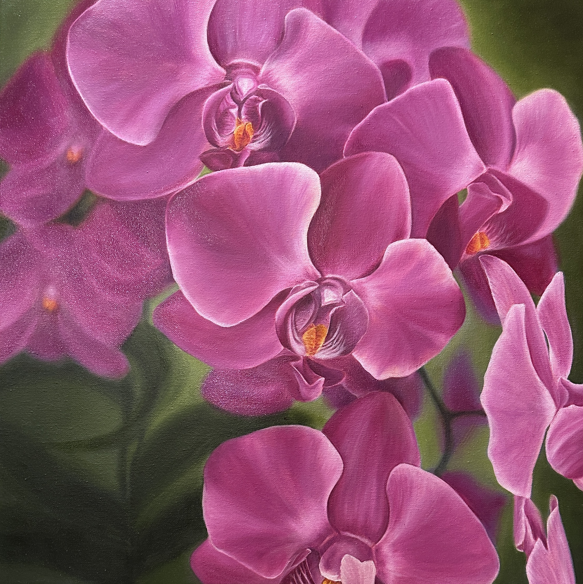 Orchids | 20 x 20 | oil, 2024