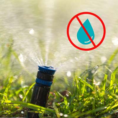 Water Rules That Flow: Stay Compliant, Stay Connected