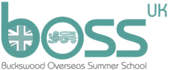Discovery Summer