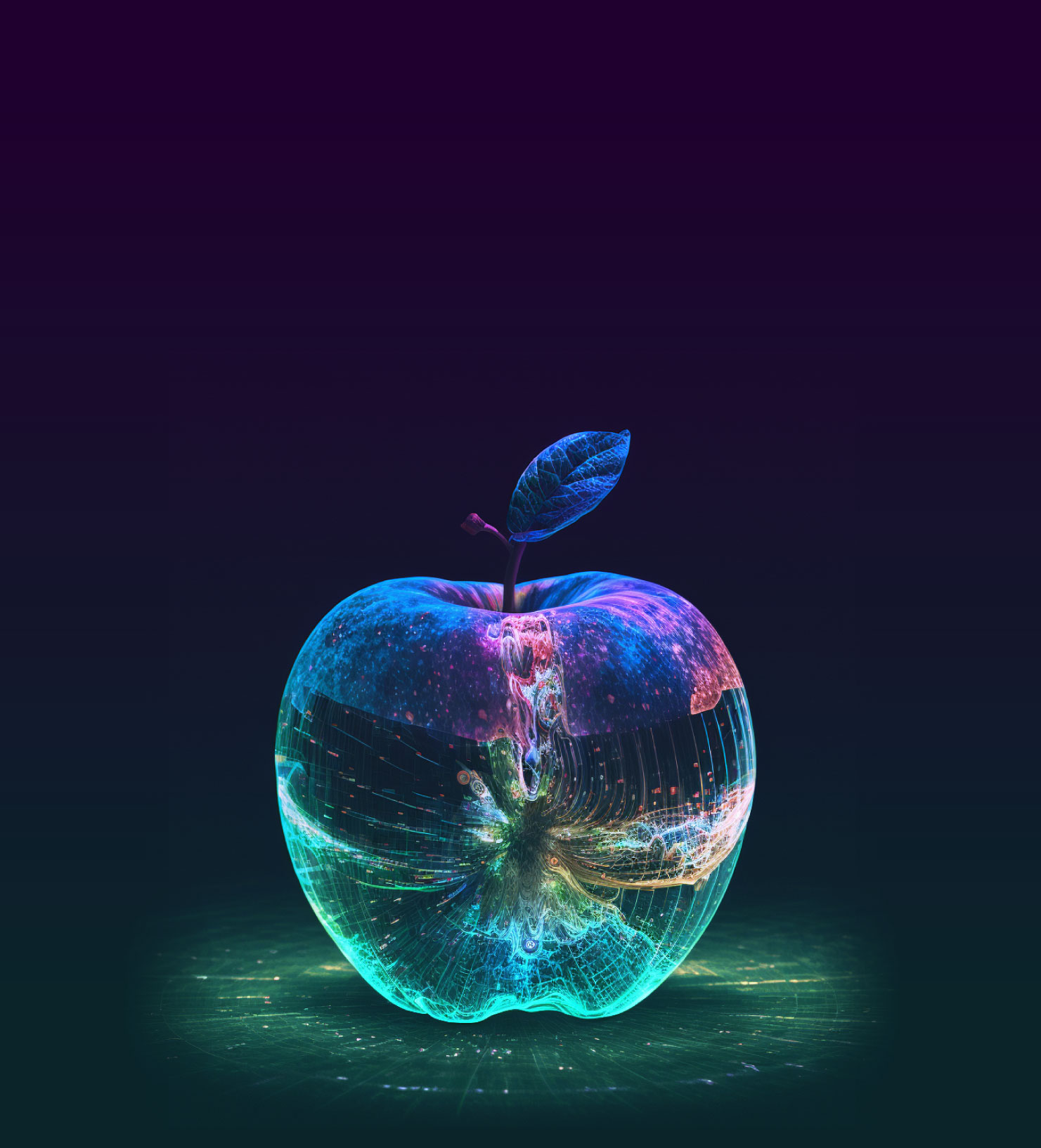 The Spatial Realm by Paul Duffy, book cover