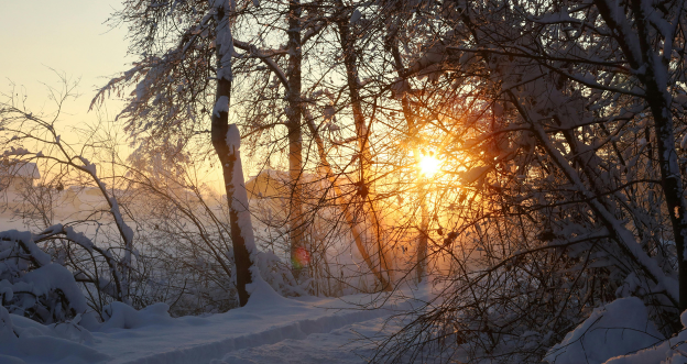 Winterblues vorbeugen