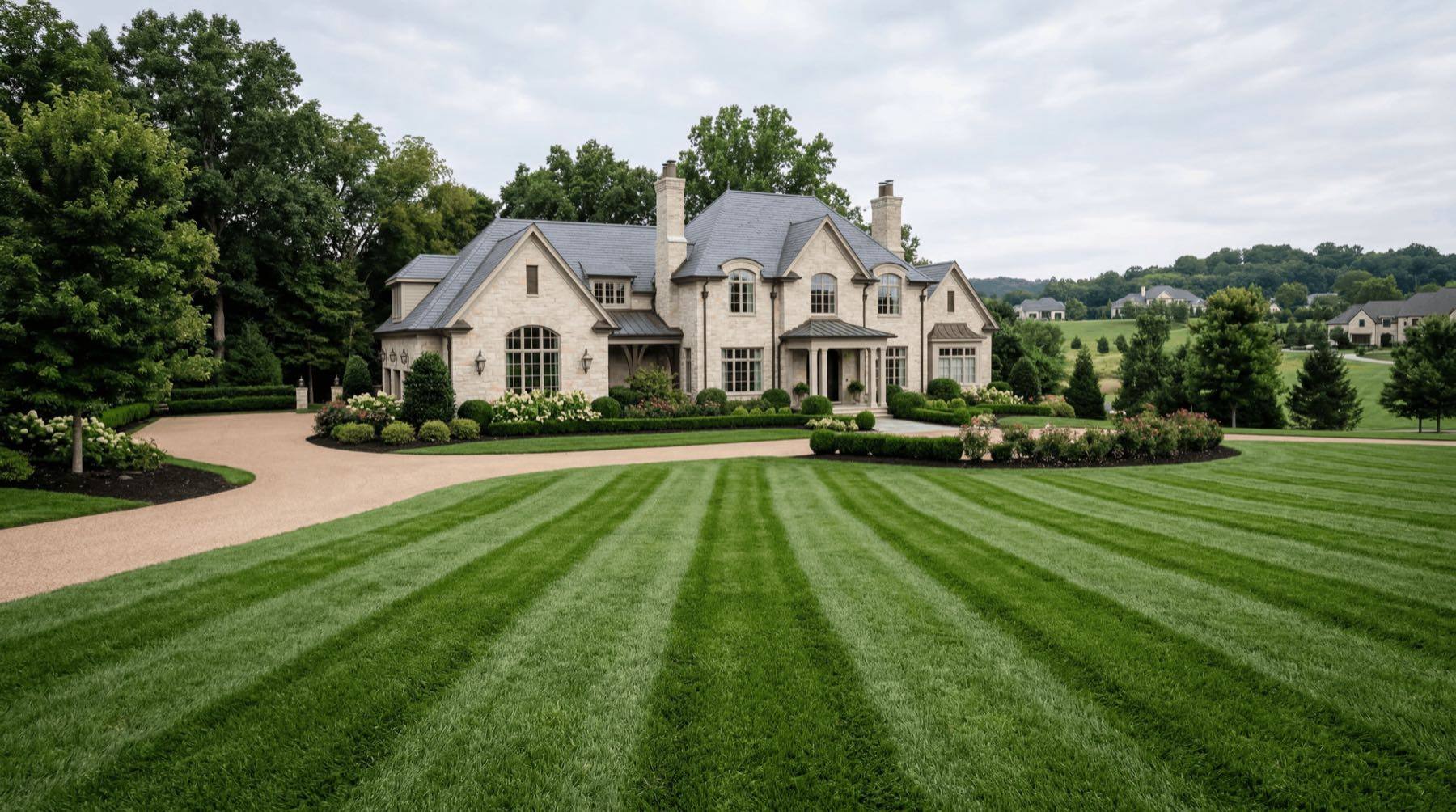 Close-up of lawn weeds in Middle Tennessee turf