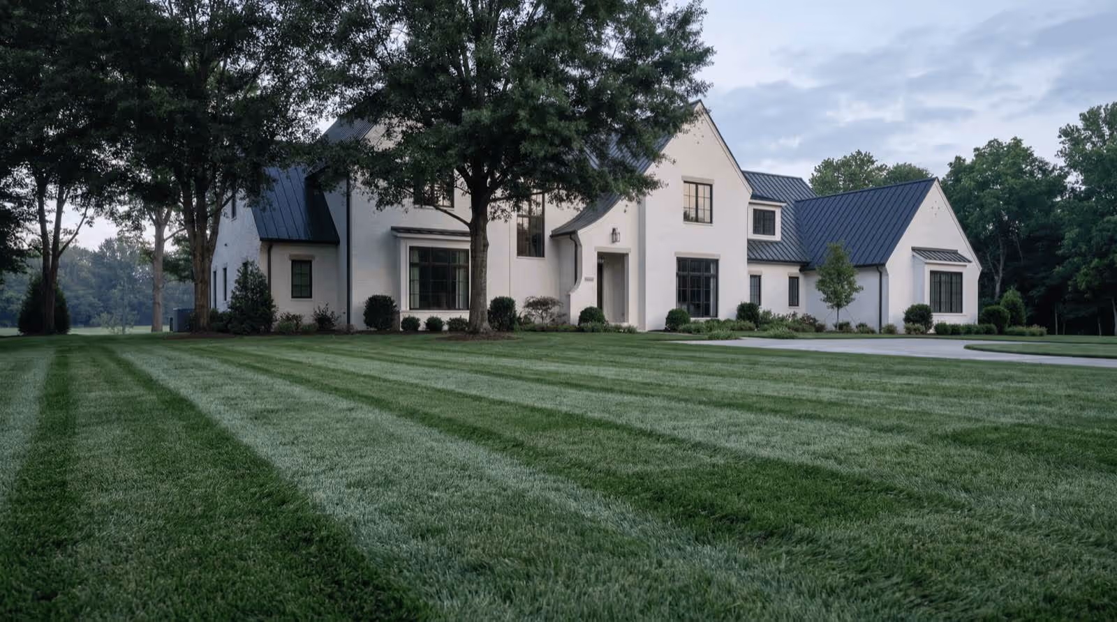 Core aeration plugs on a Middle Tennessee lawn