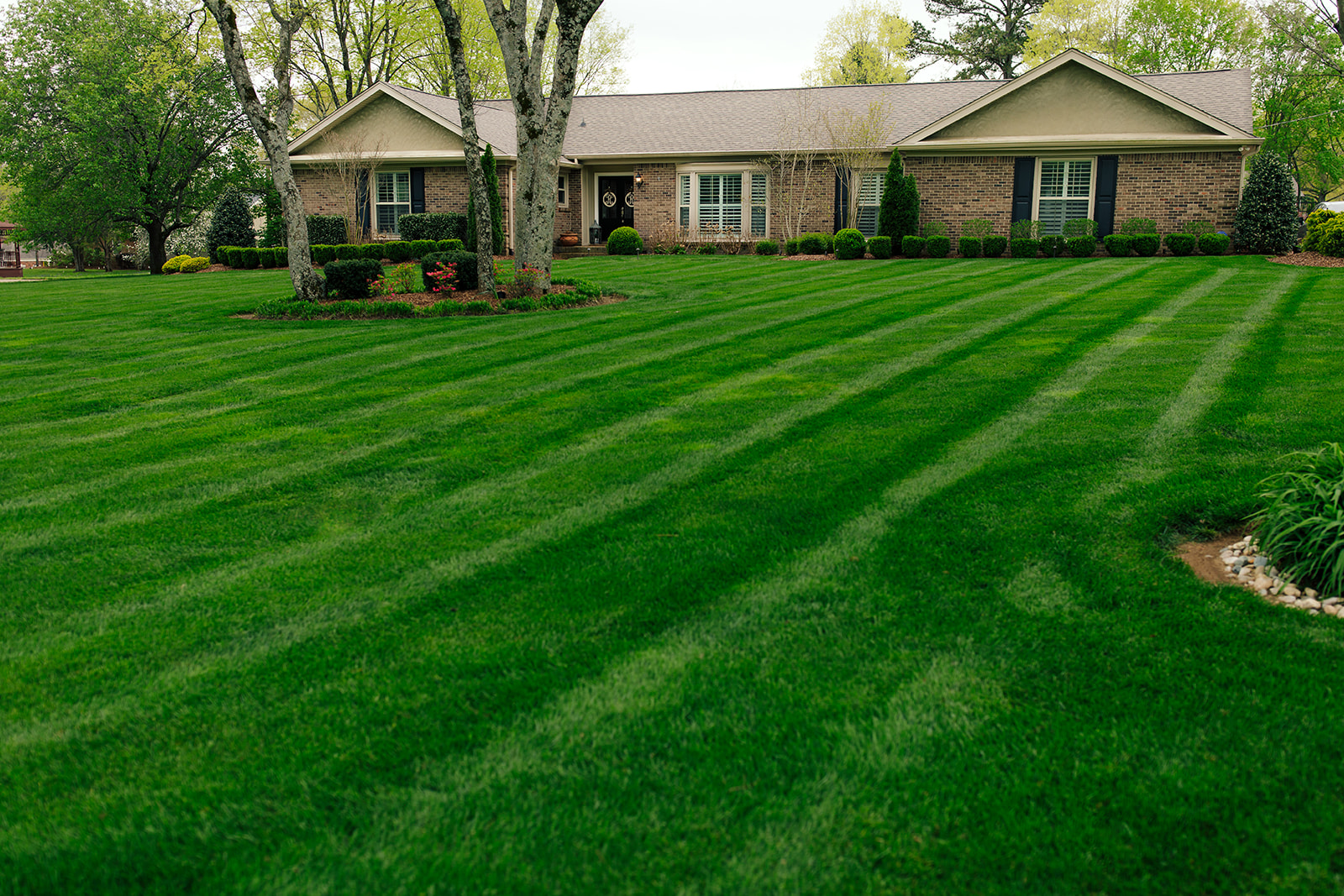 Striped lawn in front of a brick ranch home in Middle Tennessee