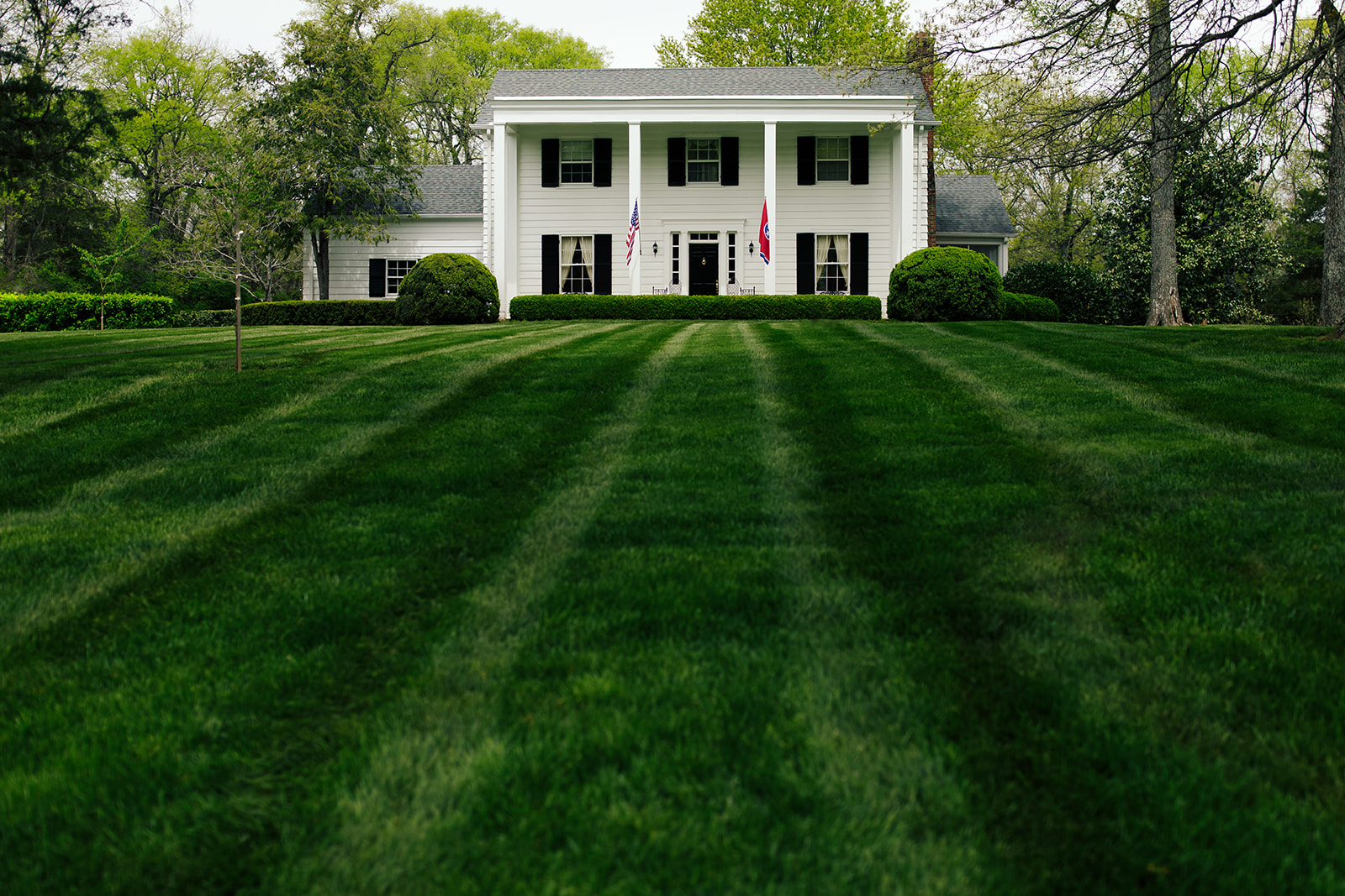 Freshly mowed, striped lawn in front of a white colonial home