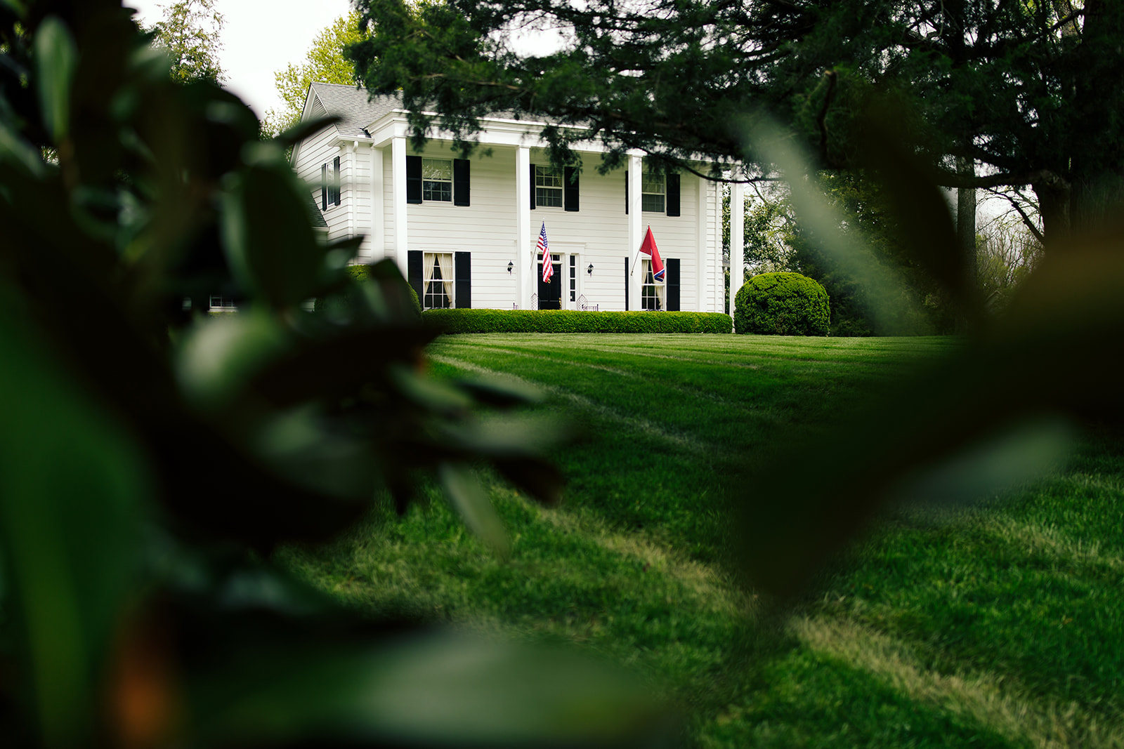 Lawn under mature trees in front of a white colonial home