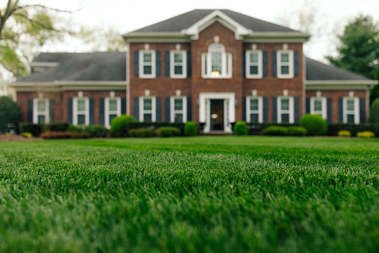 Thick lawn in front of a brick colonial home in Middle Tennessee