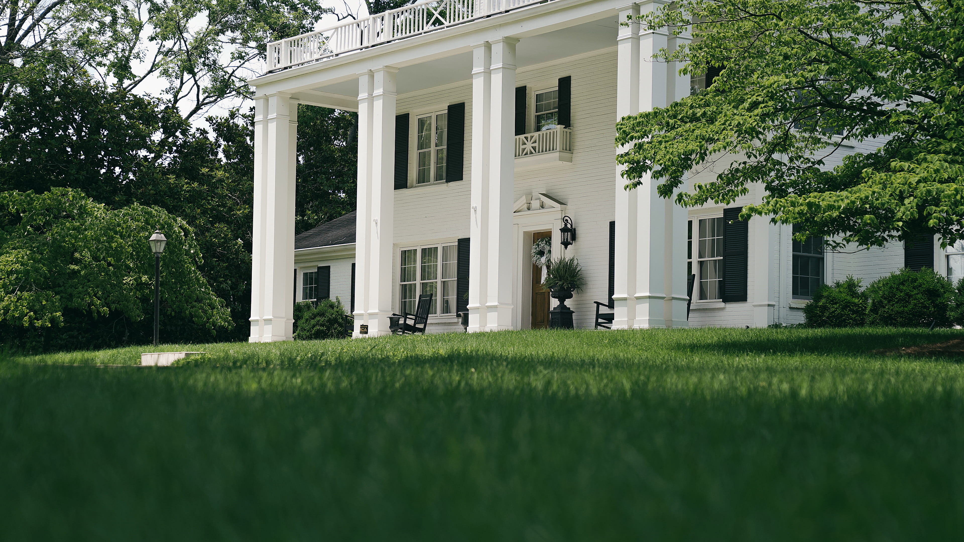 Even, green lawn in front of a white columned home