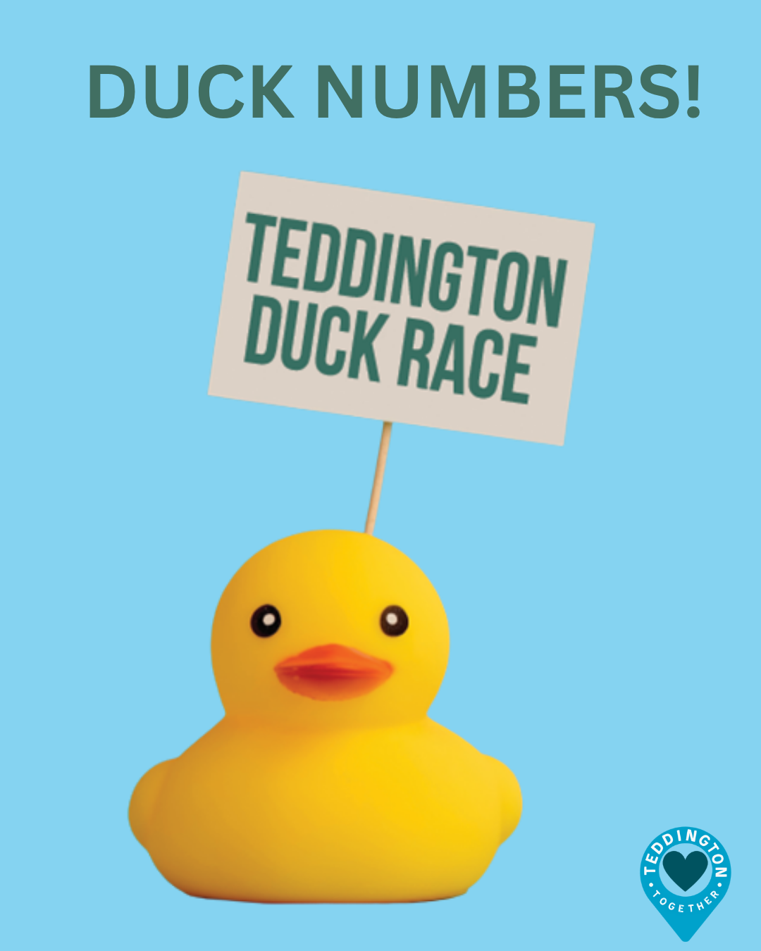 Teddington Duck Race