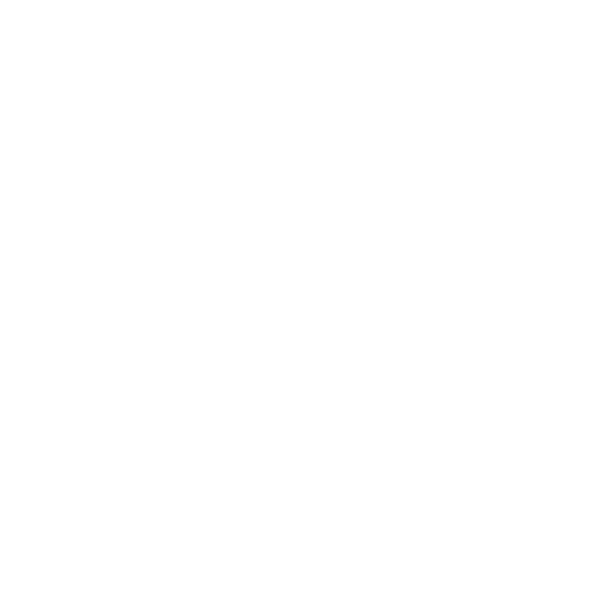 instagram icon white logo