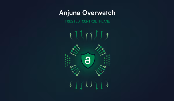 Anjuna Overwatch - Trusted Control Plane 