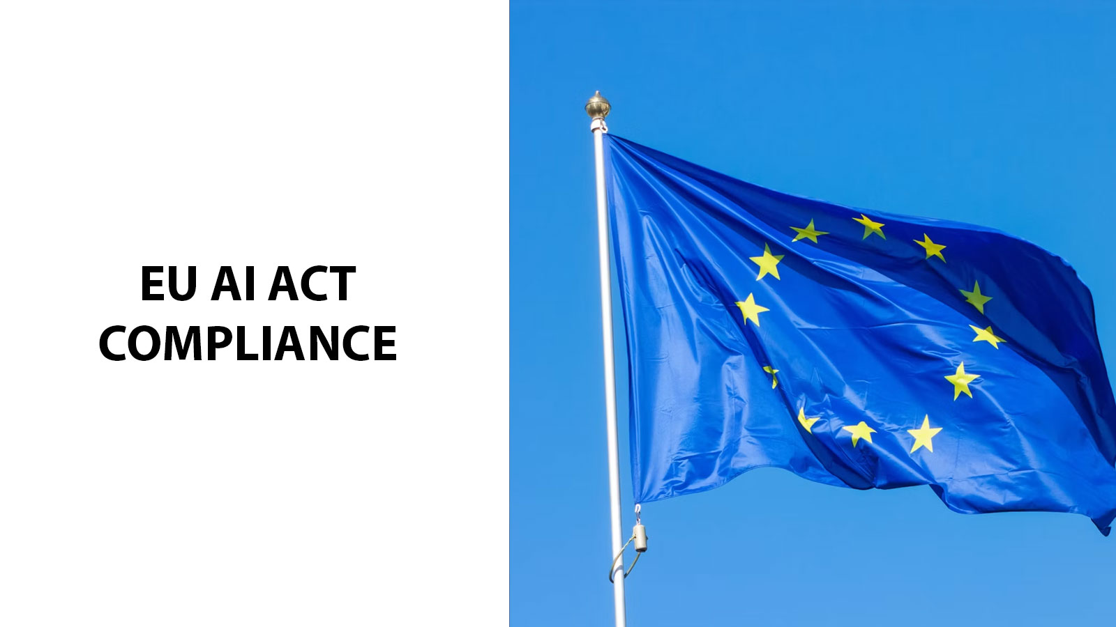 EU AI Act Compliance