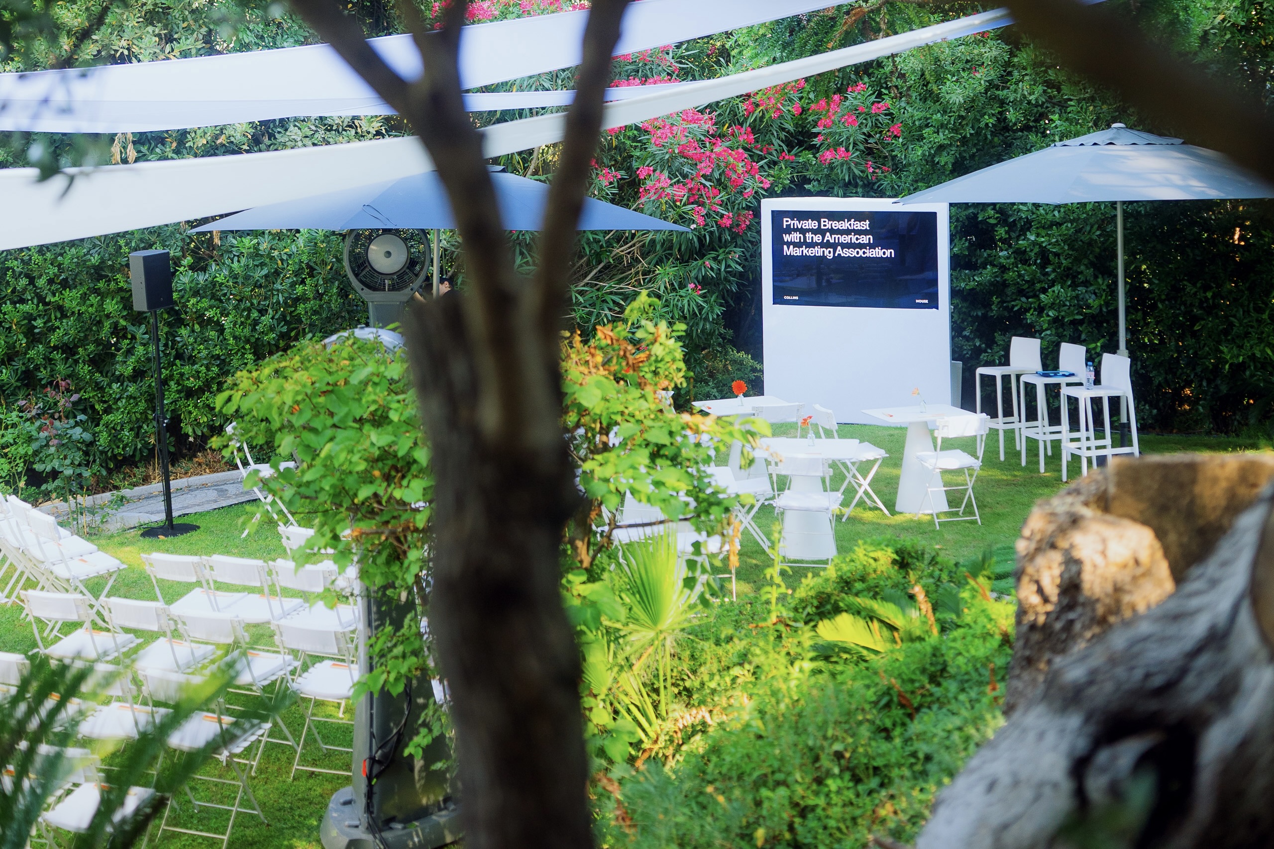 Cannes Lions x Collins House