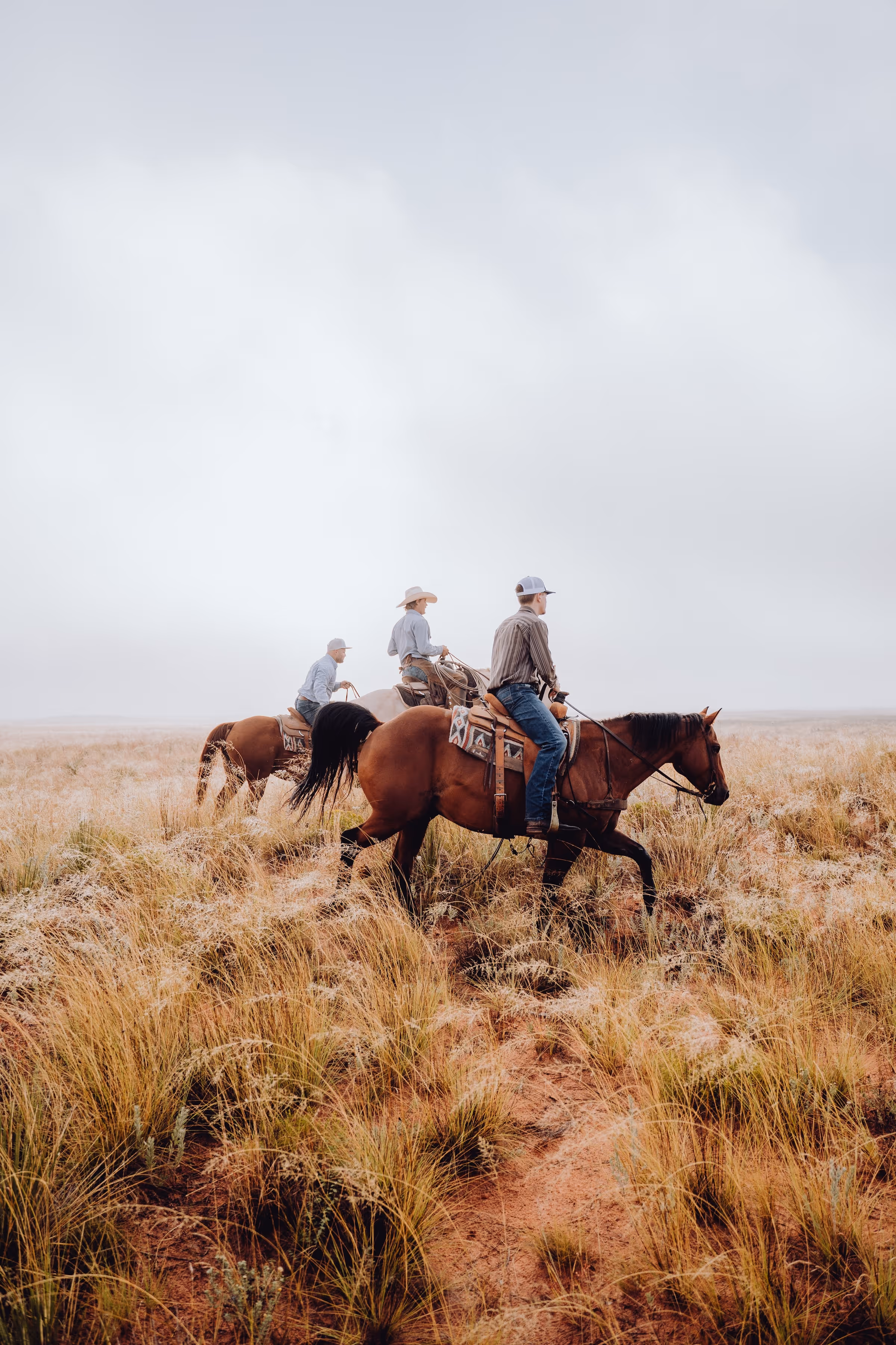 A group of people riding horses in a meadow.